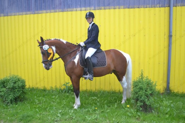 reitertag 2013 153